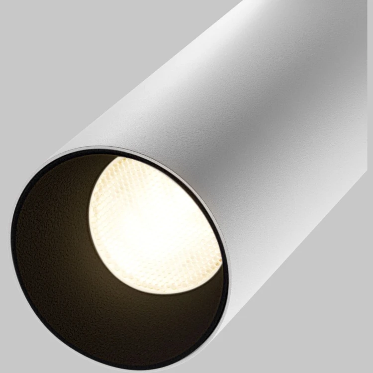 Трековый магнитный светильник Maytoni Focus LED TR032-4-20WTW-M-DSZ-W - 