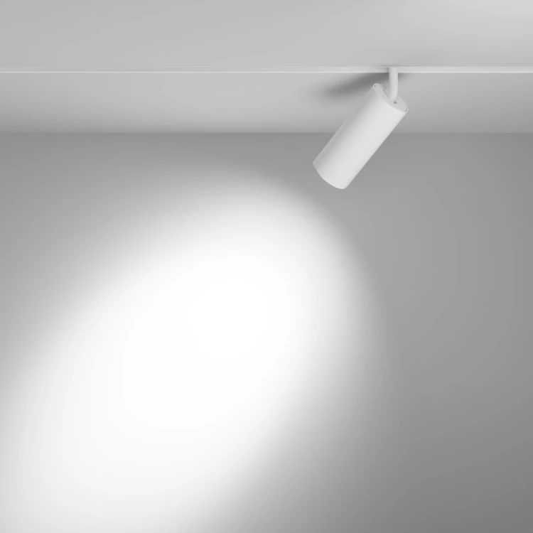 Трековый магнитный светильник Maytoni Focus LED TR032-4-20WTW-M-DSZ-W - 
