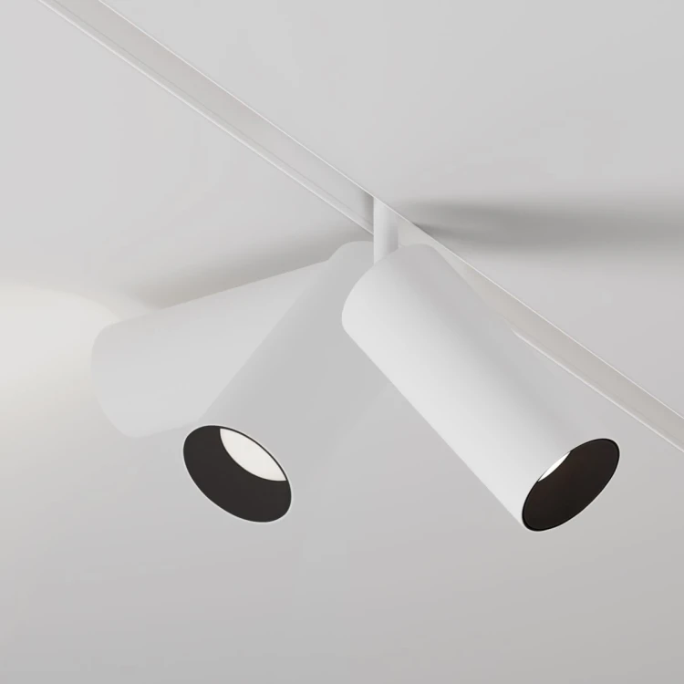 Трековый магнитный светильник Maytoni Focus LED TR032-4-20WTW-M-DSZ-W - 