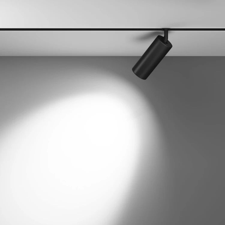 Трековый магнитный светильник Maytoni Focus LED TR032-4-20WTW-M-DSZ-W - 