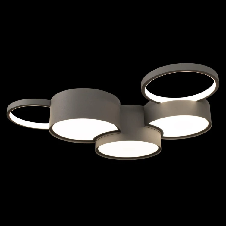 Потолочная люстра Loft IT Pin 10317/5 Grey - 