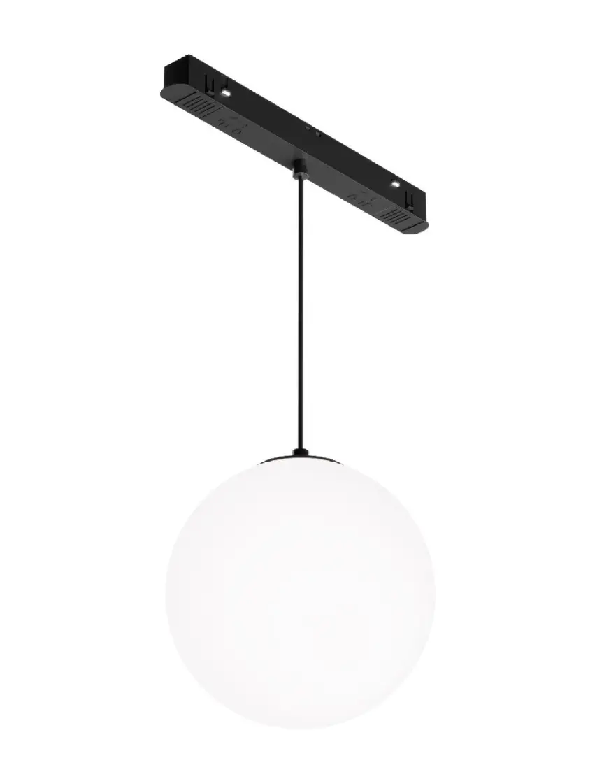 Трековый магнитный светильник Maytoni Luna TR039-4-5WTW-DD-B - 