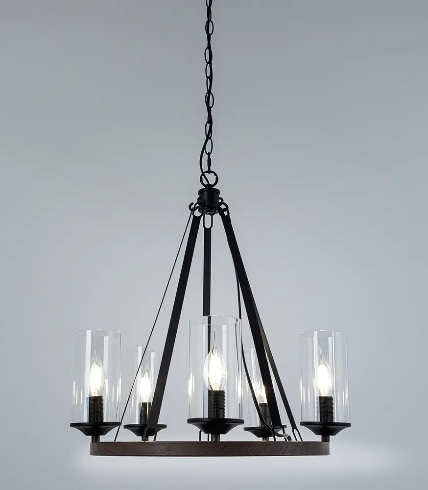 Подвесная люстра Arte Lamp Dalim A7014SP-5BK