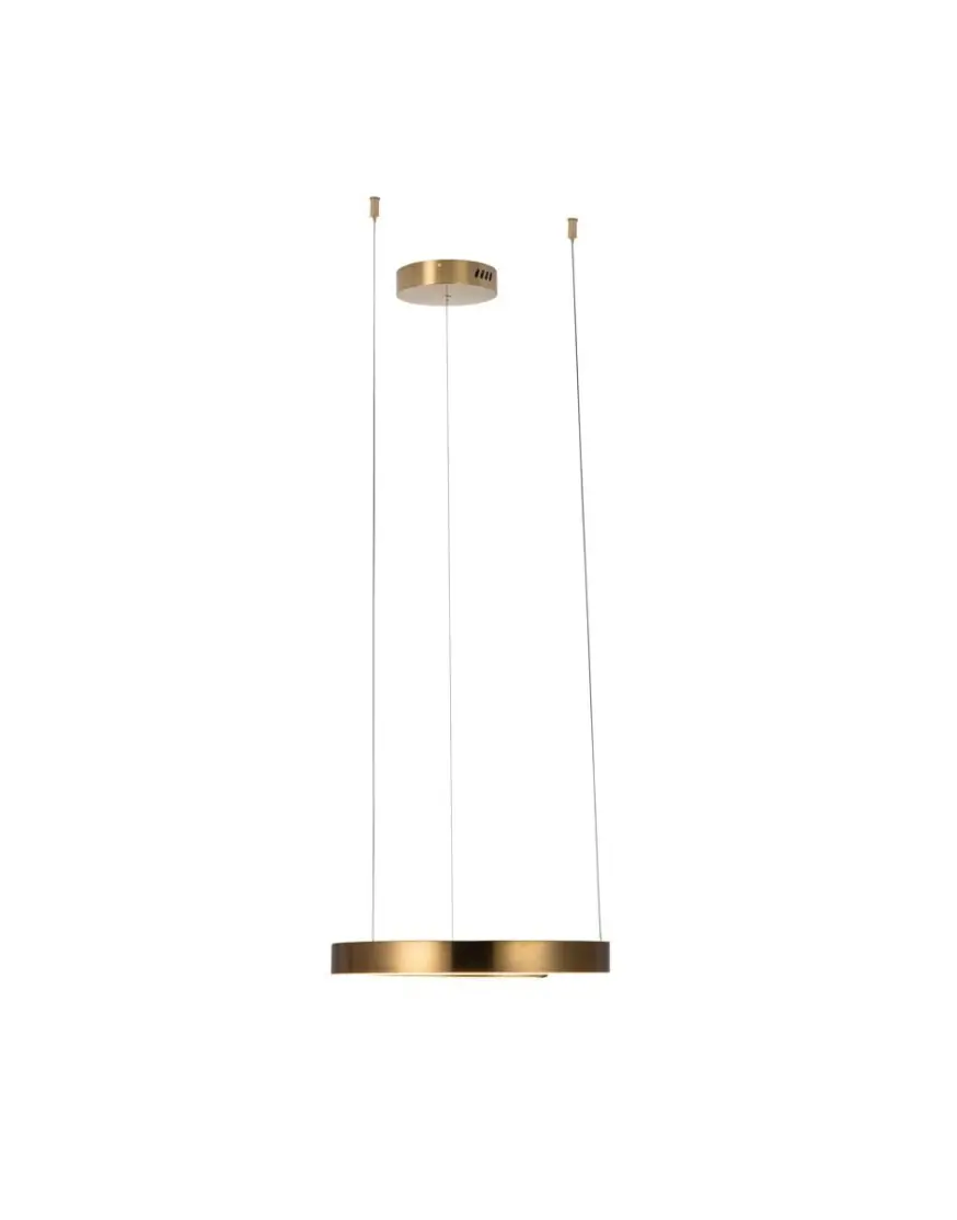 Подвесной светодиодный светильник Loft IT Ring 10013S