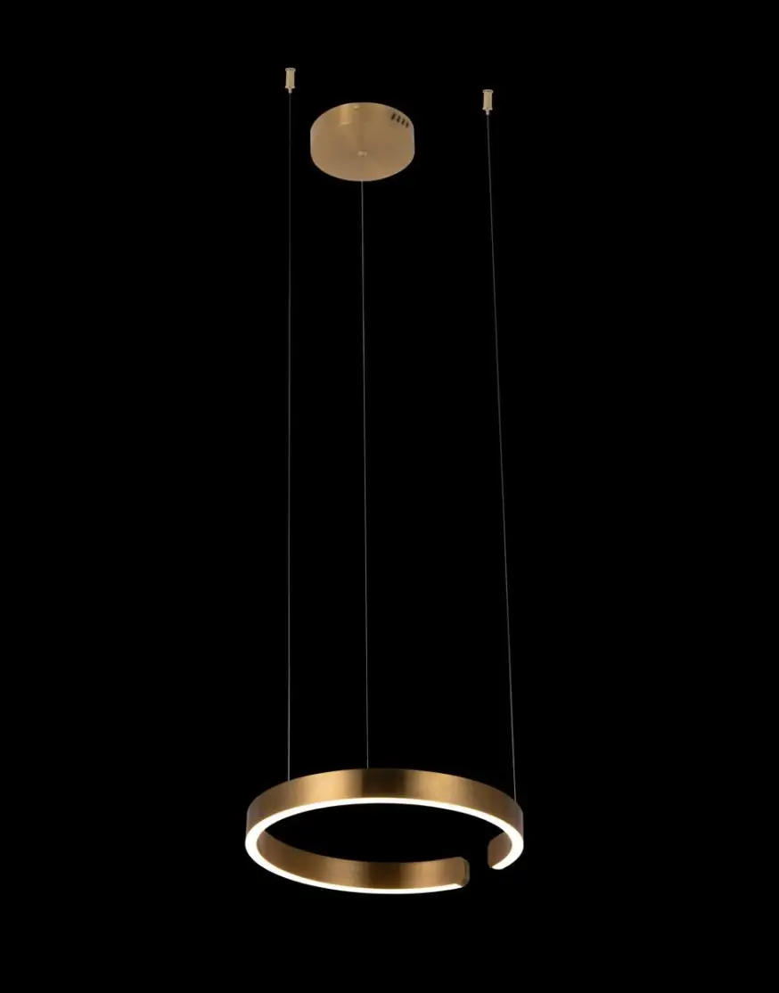 Подвесной светодиодный светильник Loft IT Ring 10013S