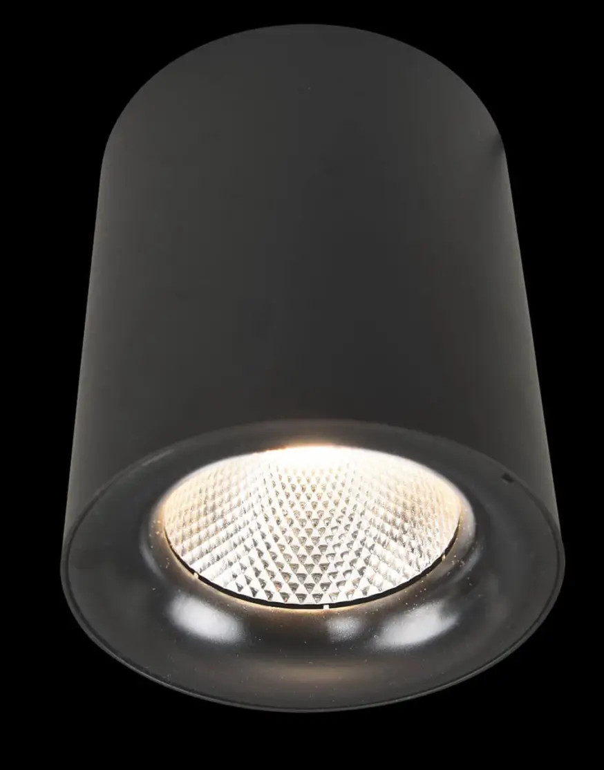 Потолочный светодиодный светильник Arte Lamp Facile A5118PL-1BK