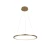 Подвесной светодиодный светильник Loft IT Ring 10014M