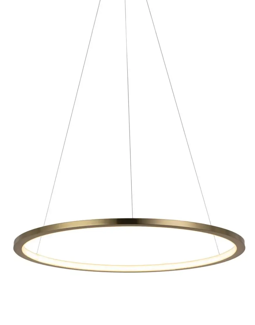 Подвесной светодиодный светильник Loft IT Ring 10014M
