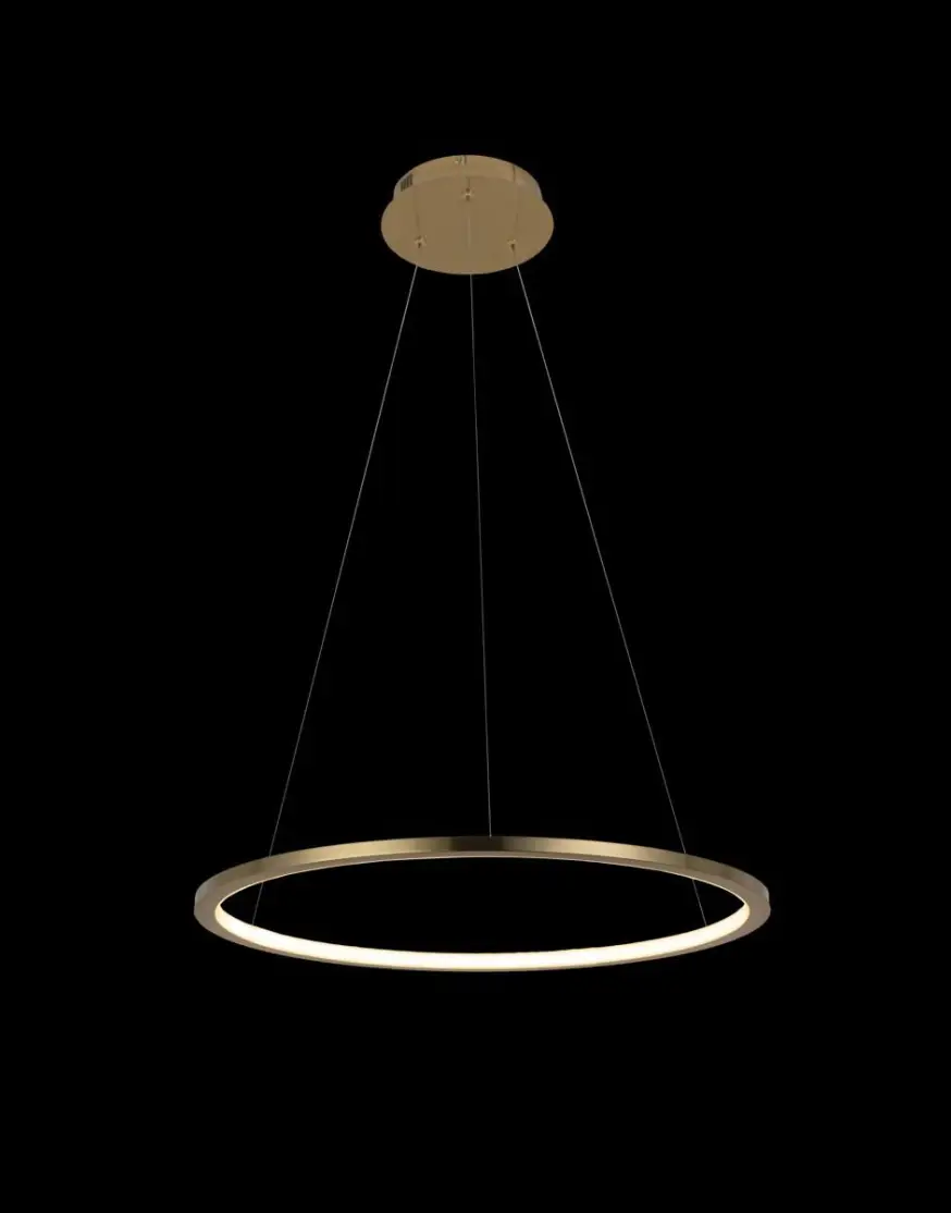 Подвесной светодиодный светильник Loft IT Ring 10014M