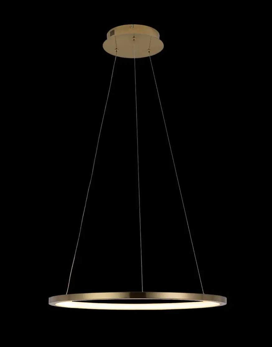 Подвесной светодиодный светильник Loft IT Ring 10014M