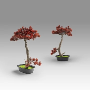 Bujin-hi bonsai 45cm набор из 2 предметов