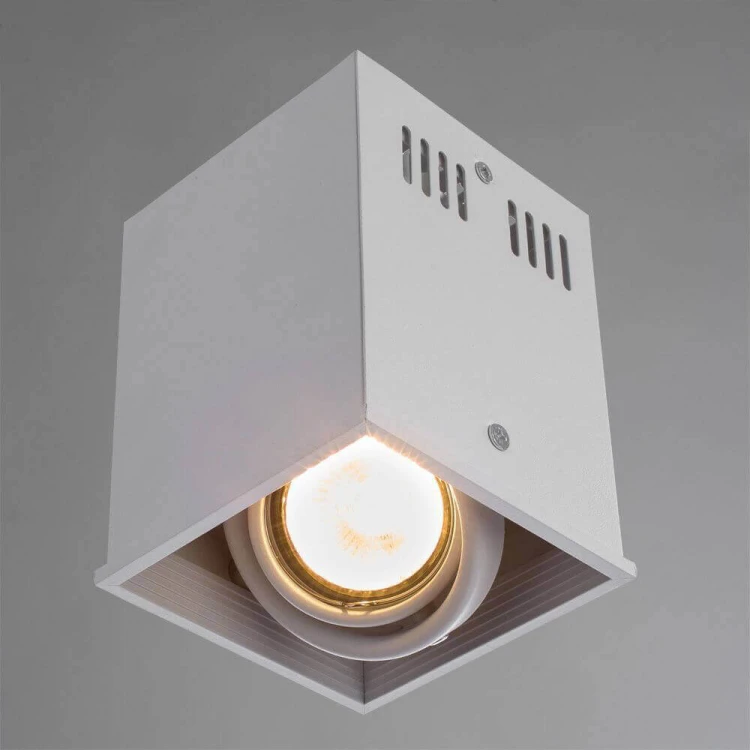 Потолочный светильник Arte Lamp Cardani A5942PL-1WH