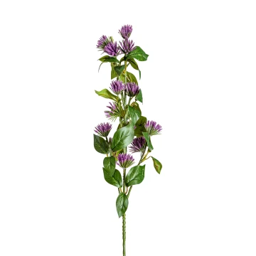 Цветок фиолетового цвета CENTAUREA Цветок фиолетового цвета CENTAUREA