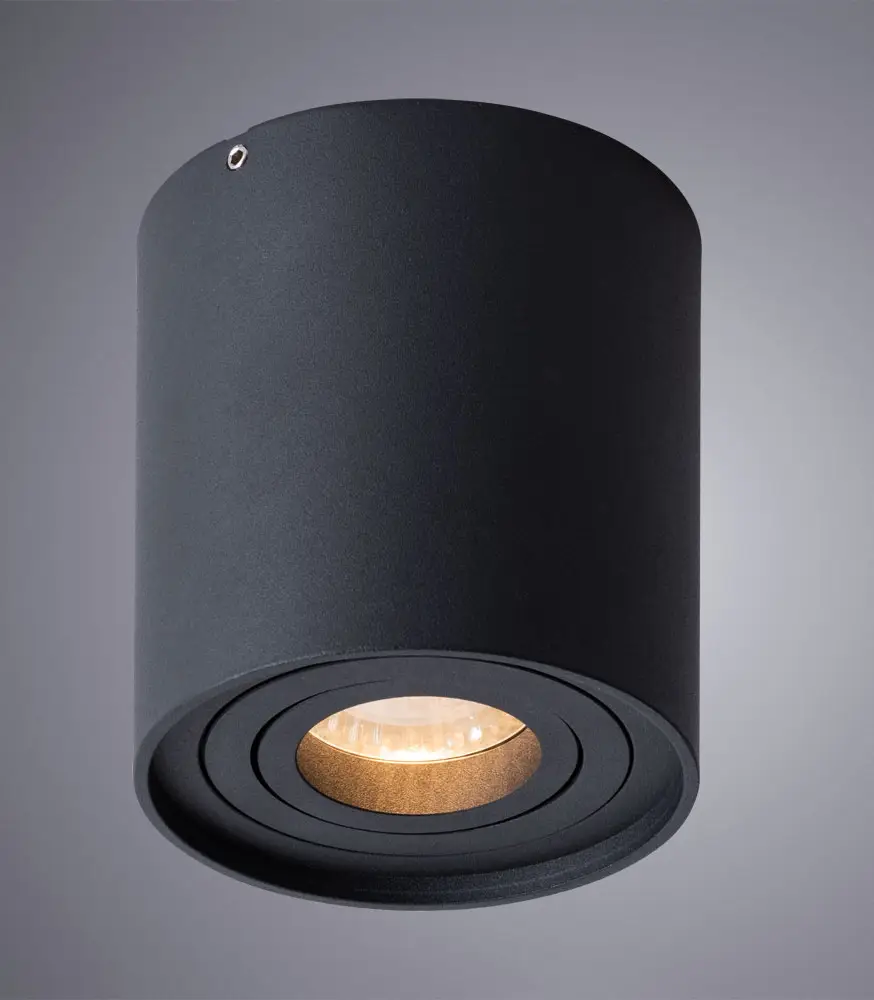 Потолочный светильник Arte Lamp Falcon A5645PL-1BK
