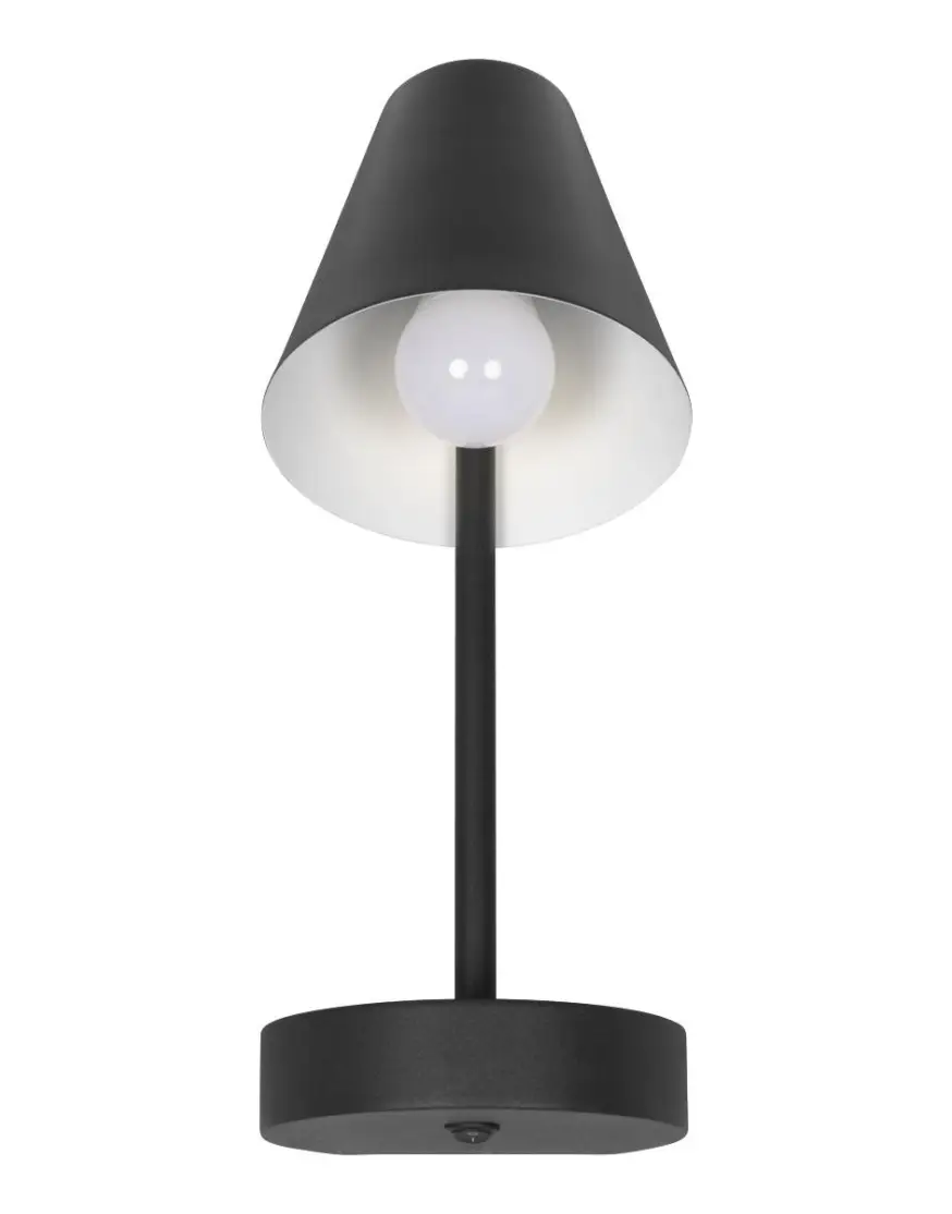 Бра Loft IT Shelf 10216/1W Black - 