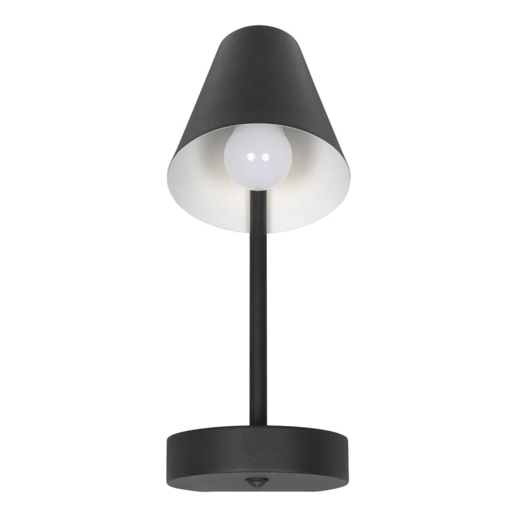 Бра Loft IT Shelf 10216/1W Black - 