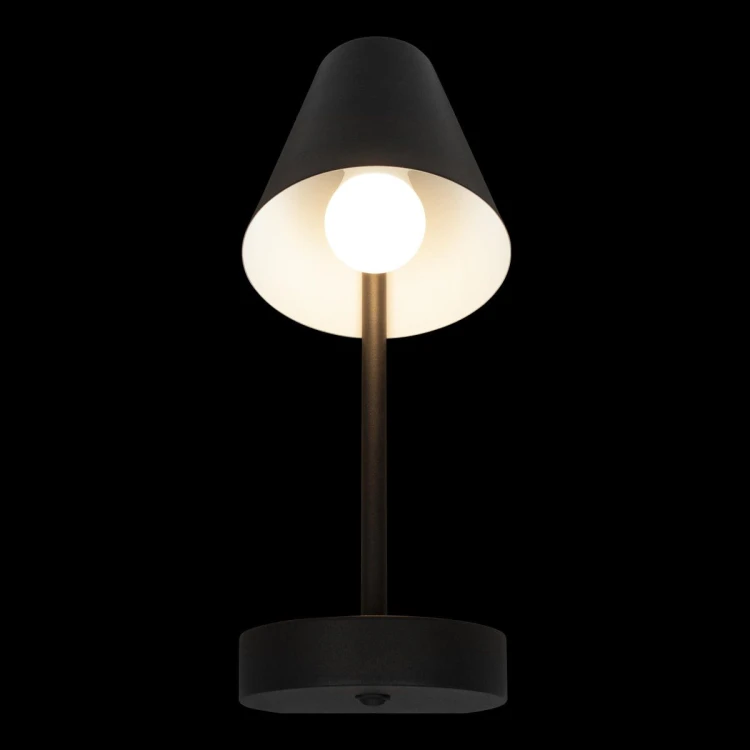 Бра Loft IT Shelf 10216/1W Black - 
