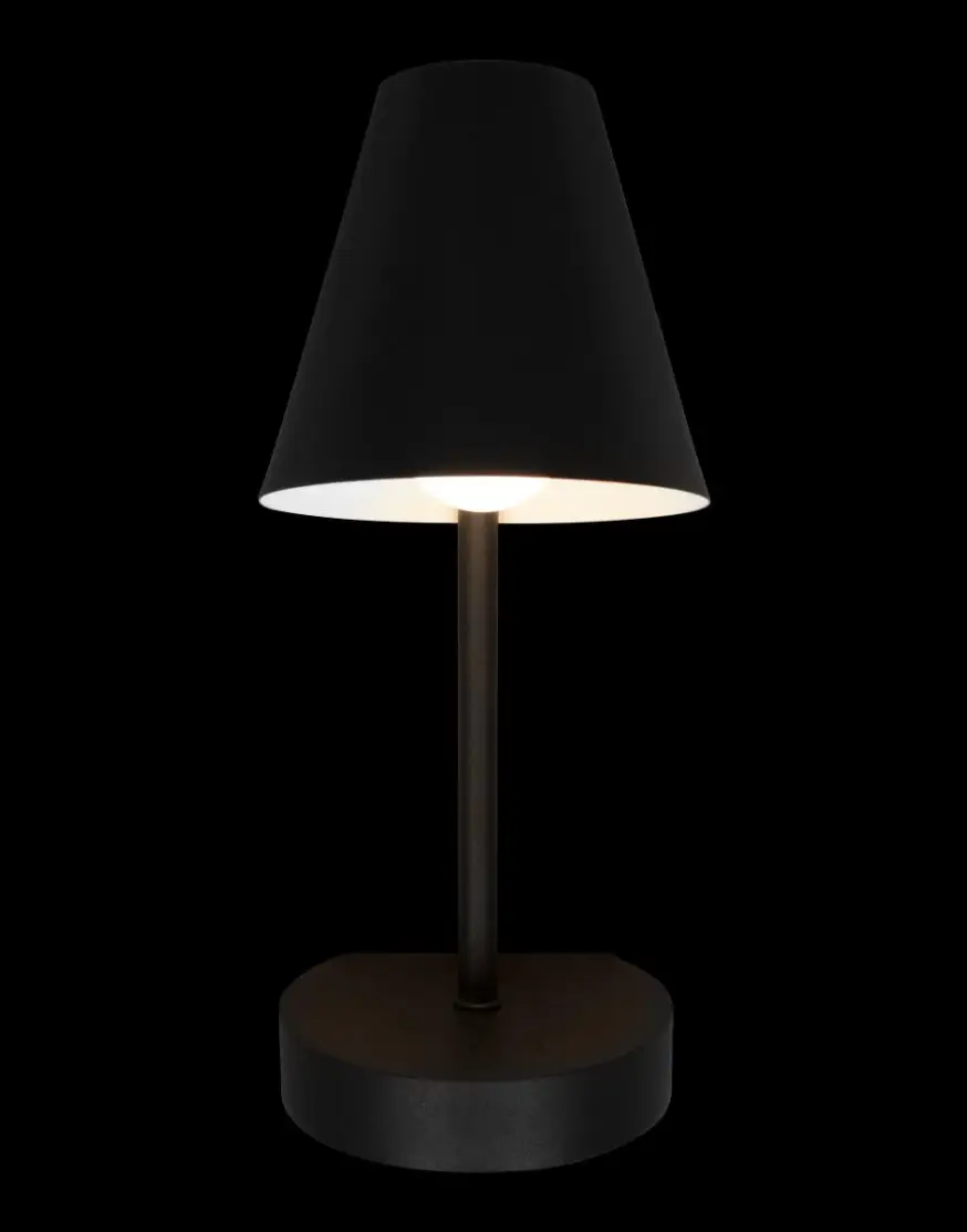 Бра Loft IT Shelf 10216/1W Black - 