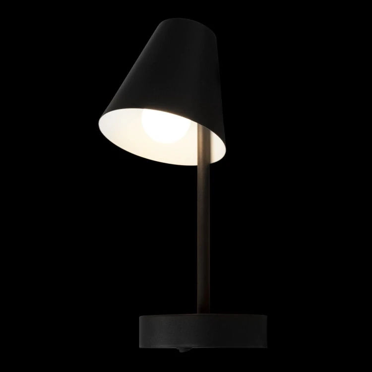 Бра Loft IT Shelf 10216/1W Black - 