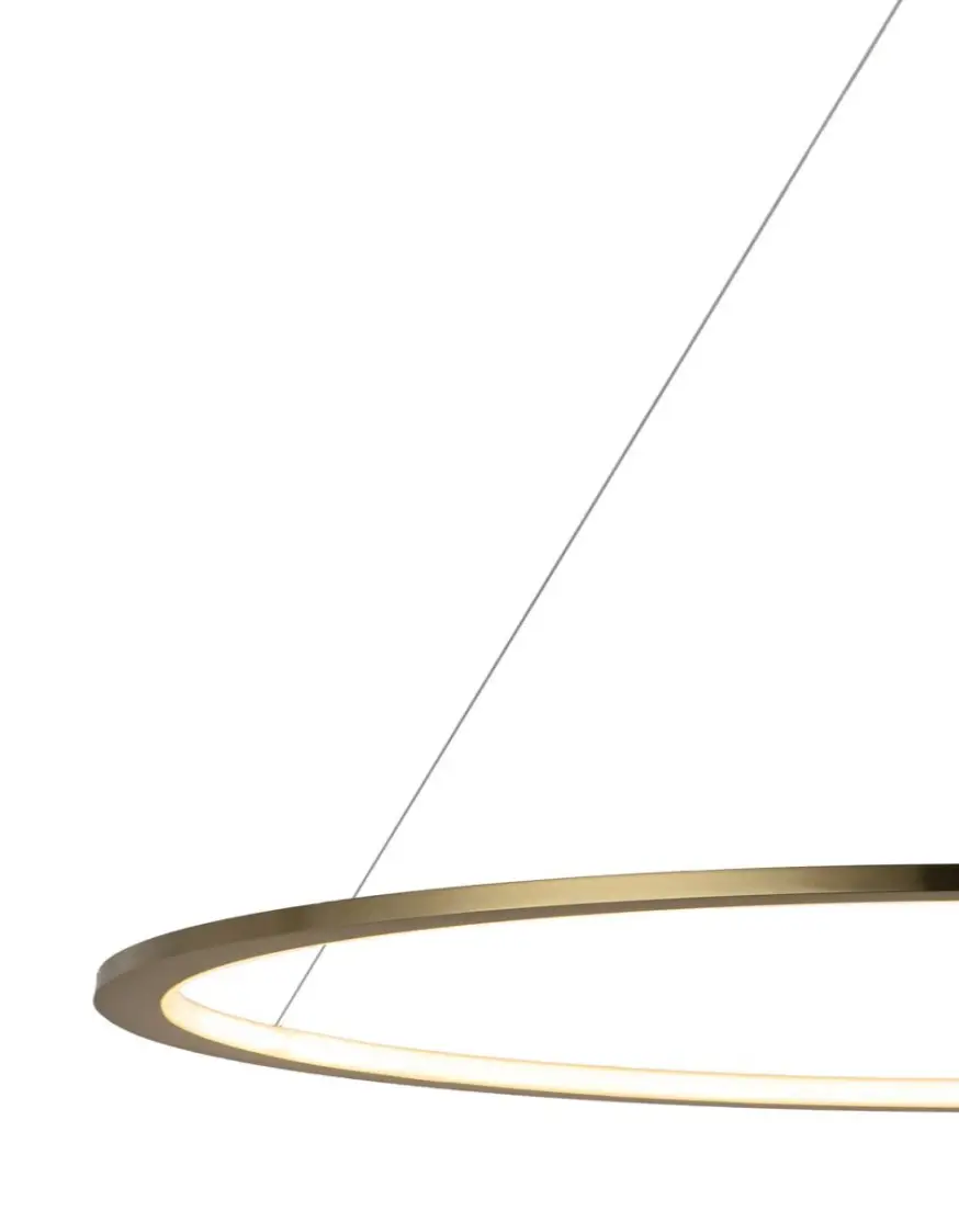 Подвесной светодиодный светильник Loft IT Ring 10014XXL